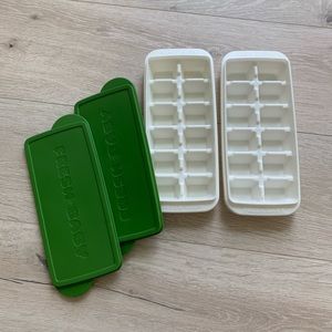 FRESH BABY FROZEN FOOD TRAY